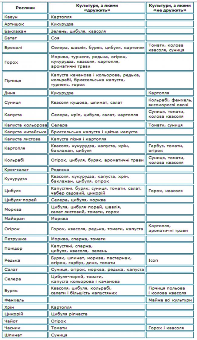 Хто з ким "дружить" на городі. Сумісність та несумісніть рослин у змішаних посівах