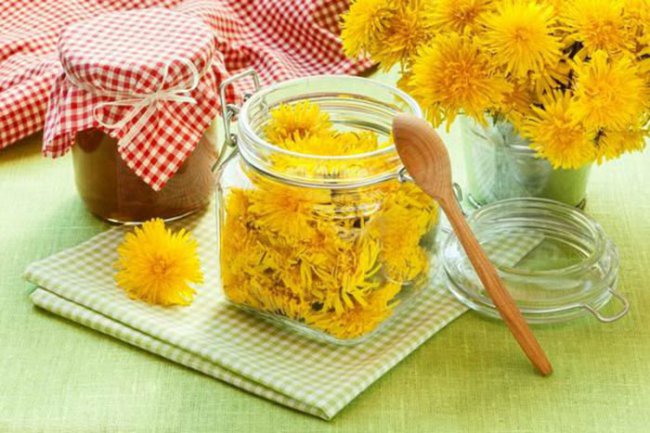 Чим корисна кульбаба. Готуємо лікувальні настої та запашне варення Чим корисна кульбаба. Готуємо лікувальні настої та запашне варення