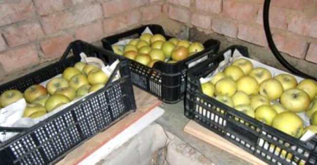 Прості поради, як зберегти врожай яблук аж до весни Прості поради, як зберегти врожай яблук аж до весни