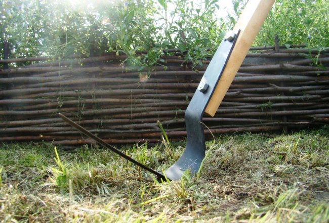Що не треба робити на городі, Або кілька "некорисних" порад