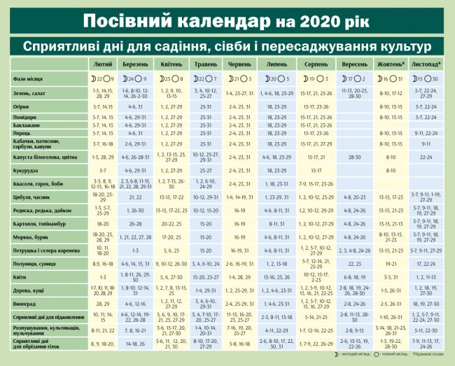 Коли і що садити. Місячний посівний календар для городників на 2020 рік