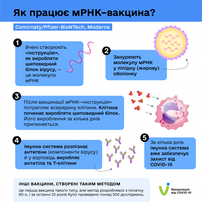 Як працюють вакцини від COVID-19, які колють українцям. У МОЗ розповіли деталі