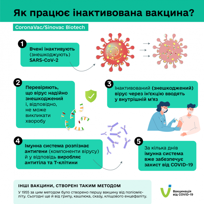 Як працюють вакцини від COVID-19, які колють українцям. У МОЗ розповіли деталі